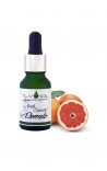 Aceite Esencial Puro de Pomelo 15 ml - ESSENCE - LAB. DUANER