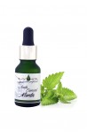 Aceite Esencial puro de Menta 15 ml - ESSENCE - LAB. DUANER