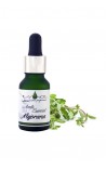 Aceite Esencial puro de Mejorana 15 ml